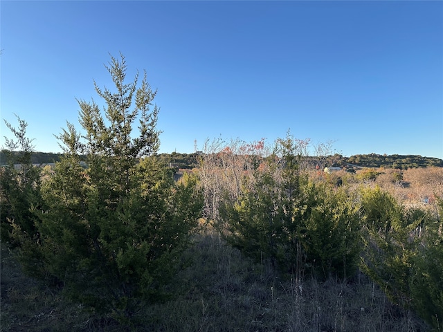 Listing photo 3 for LOT659R Canyon Wren Loop, Graford TX 76449