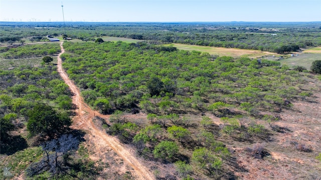 Listing photo 3 for TBD County Road 213, Moran TX 76464