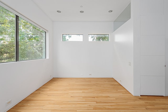 spare room featuring plenty of natural light and light hardwood / wood-style flooring