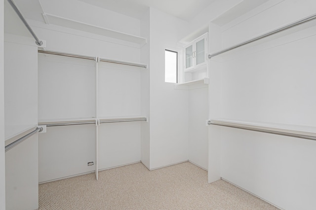 spacious closet with light carpet