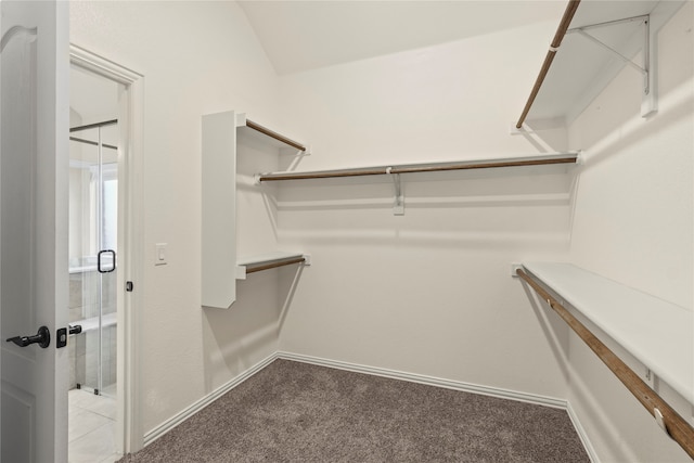 spacious closet with carpet floors