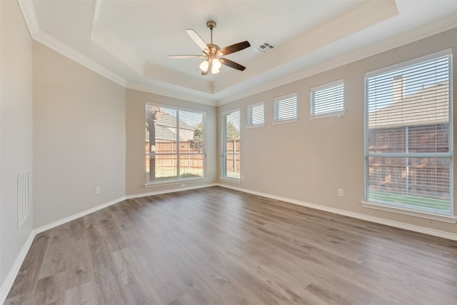 unfurnished room featuring a raised ceiling, a wealth of natural light, and light hardwood / wood-style floors