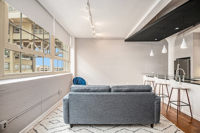 living room featuring wood-type flooring and track lighting