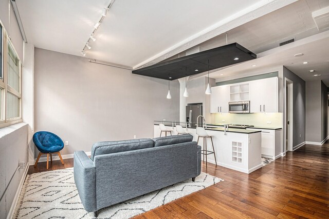 living room featuring wood-type flooring and track lighting