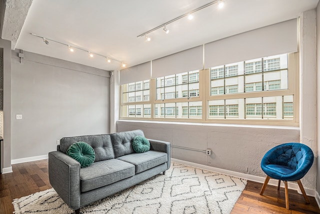 living room featuring wood-type flooring and track lighting