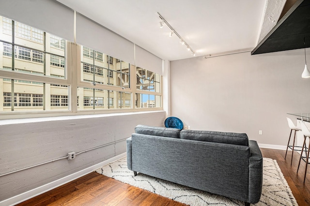 living area featuring a wealth of natural light, rail lighting, and hardwood / wood-style flooring