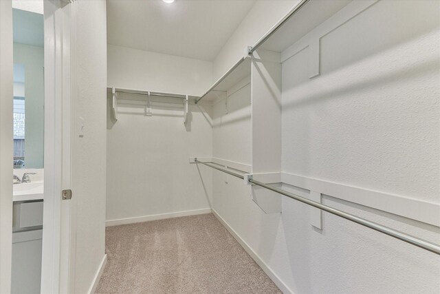 spacious closet featuring light carpet and sink