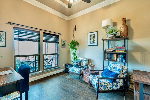 office featuring crown molding, ceiling fan, and dark wood-type flooring