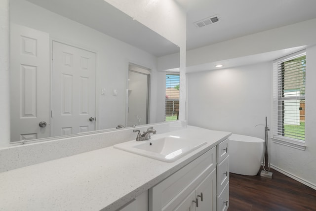 bathroom featuring a tub, vanity, and wood-type flooring