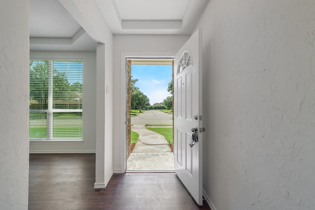 doorway featuring a tray ceiling and dark wood-type flooring