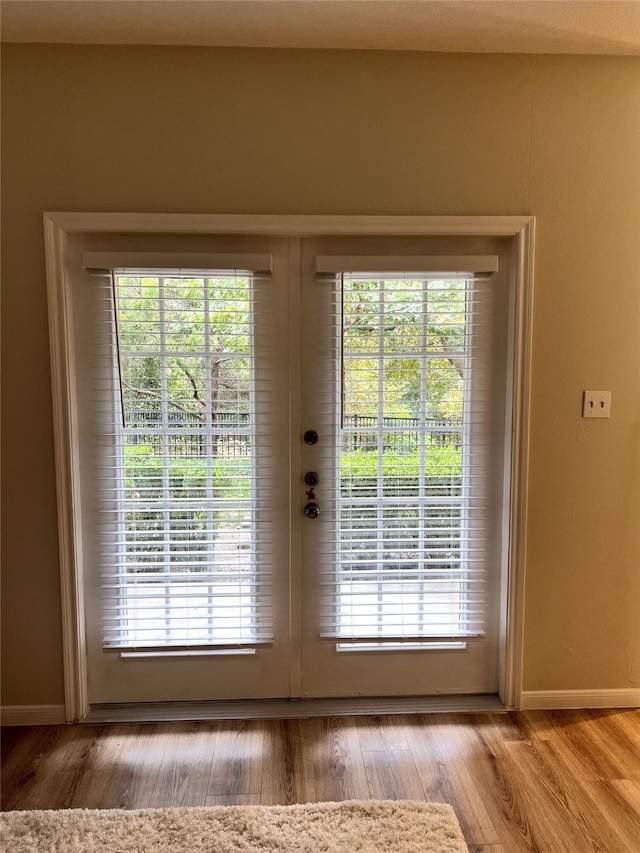 entryway with french doors, a healthy amount of sunlight, and wood-type flooring