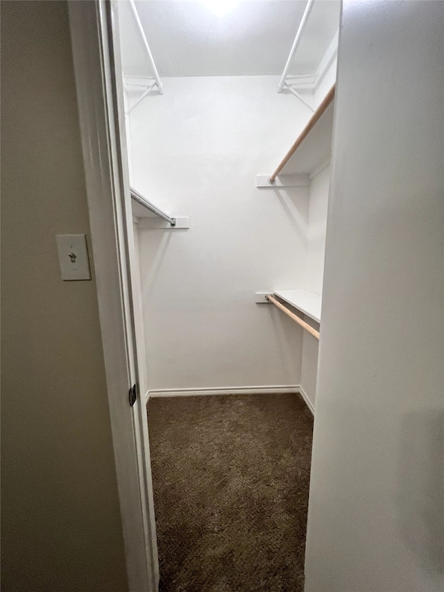 walk in closet featuring dark colored carpet