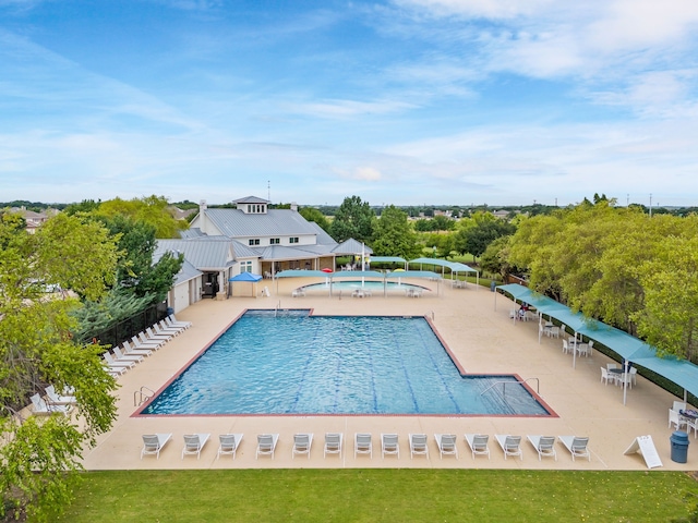 view of swimming pool with a patio area and a yard