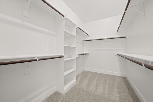 spacious closet with light colored carpet