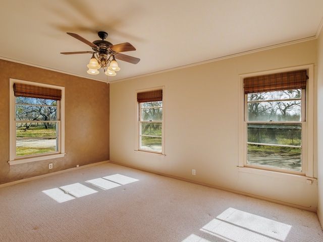 spare room featuring carpet and a healthy amount of sunlight