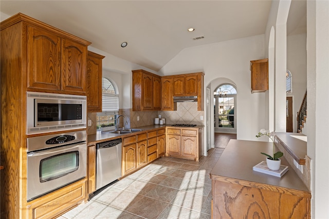 kitchen with a healthy amount of sunlight, sink, stainless steel appliances, and vaulted ceiling