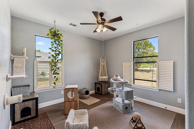 sitting room with ceiling fan, plenty of natural light, and dark wood-type flooring