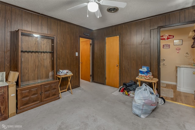 miscellaneous room with light carpet, sink, ceiling fan, and a textured ceiling