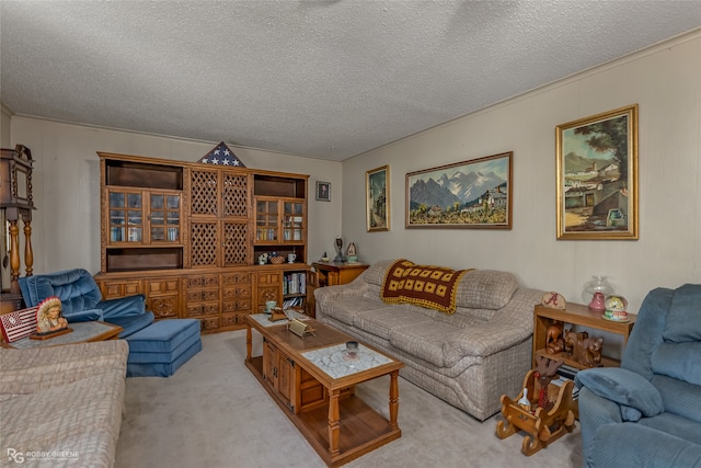 carpeted living room with a textured ceiling