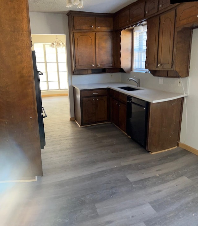 kitchen with dishwasher, light hardwood / wood-style flooring, a wealth of natural light, and sink