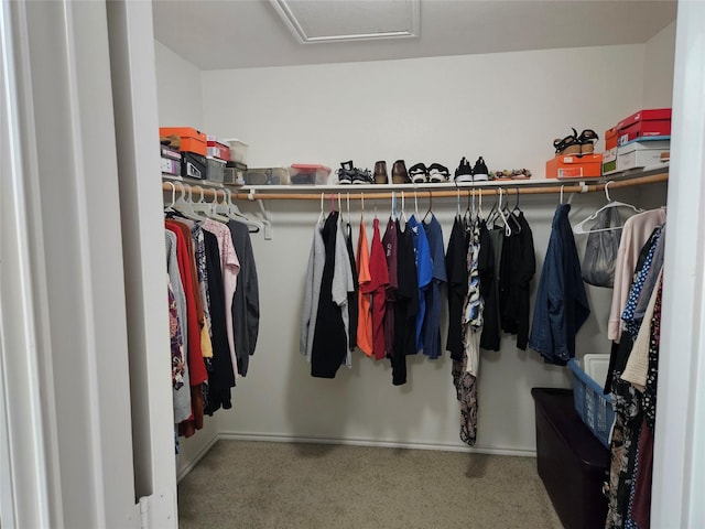 view of spacious closet