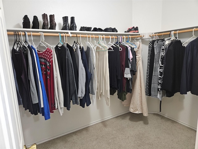 view of spacious closet