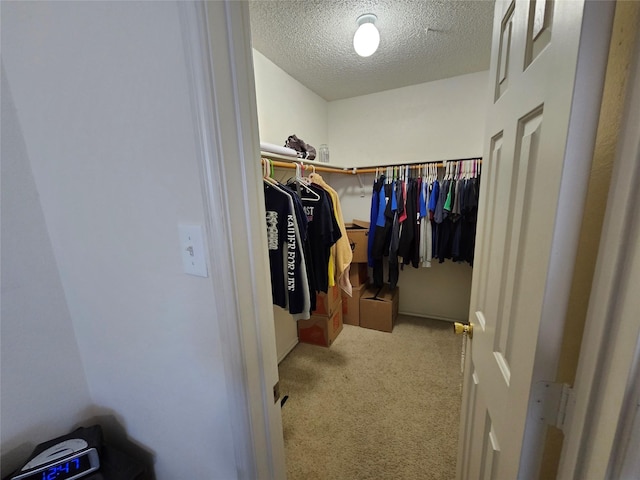 spacious closet with carpet