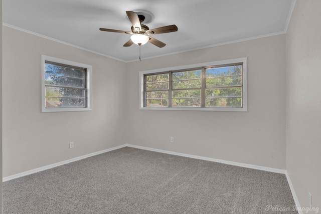 carpeted empty room with ceiling fan and crown molding