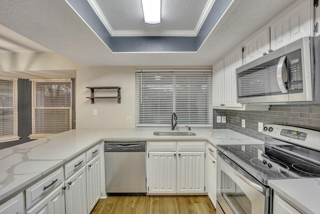 kitchen with white cabinetry, sink, ornamental molding, a tray ceiling, and stainless steel appliances