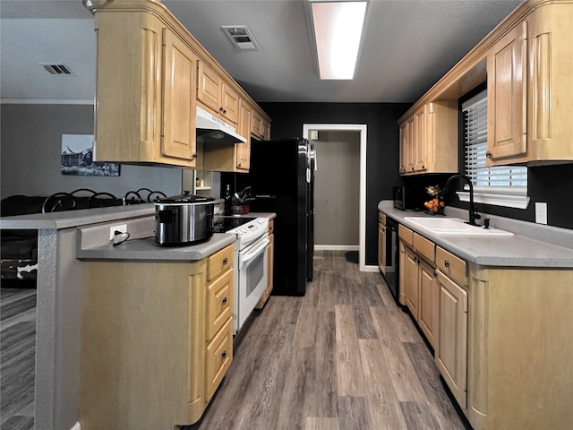 kitchen with wood-type flooring, light brown cabinets, sink, and black appliances