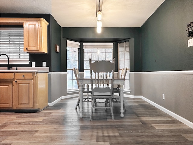 dining area with hardwood / wood-style flooring and sink