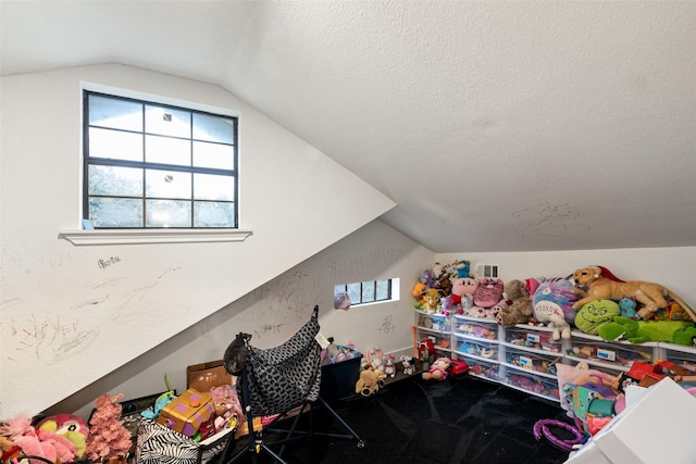 interior space featuring a textured ceiling and lofted ceiling