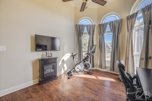 workout area featuring crown molding, hardwood / wood-style floors, and ceiling fan