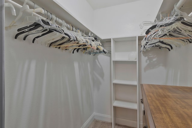 walk in closet featuring carpet floors