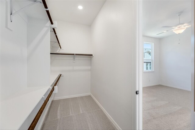 walk in closet featuring light carpet and ceiling fan