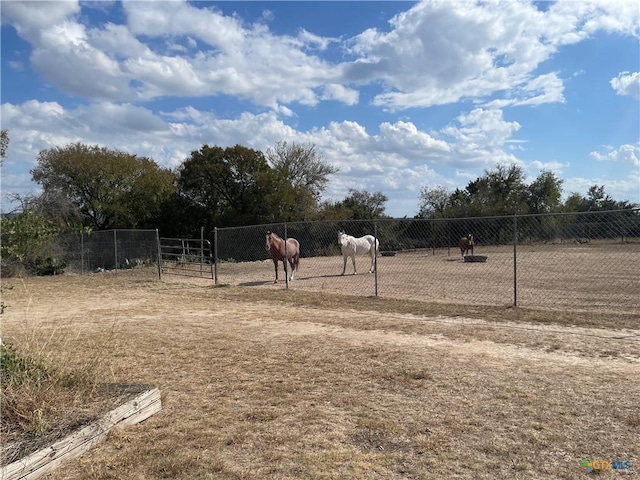 view of yard with a rural view