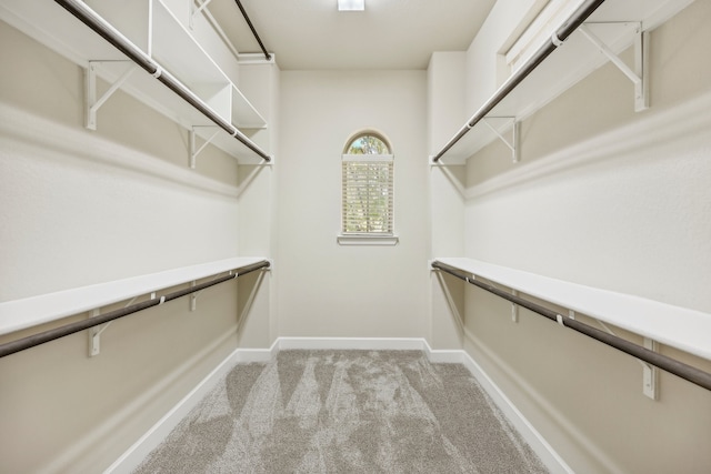 walk in closet with light carpet