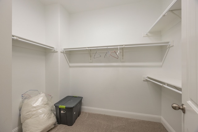 walk in closet with carpet