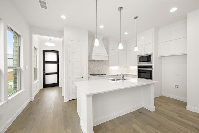 1540 Euclid Aly, Corinth, TX 76208 - kitchen with stainless steel appliances, custom range hood, plenty of natural light, light wood-style flooring, and recessed lighting