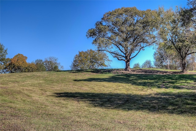 Listing photo 3 for 82ACRES Fm 1567 W, Sulphur Springs TX 75482