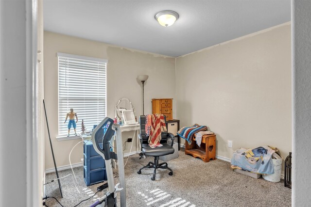 office area with carpet flooring