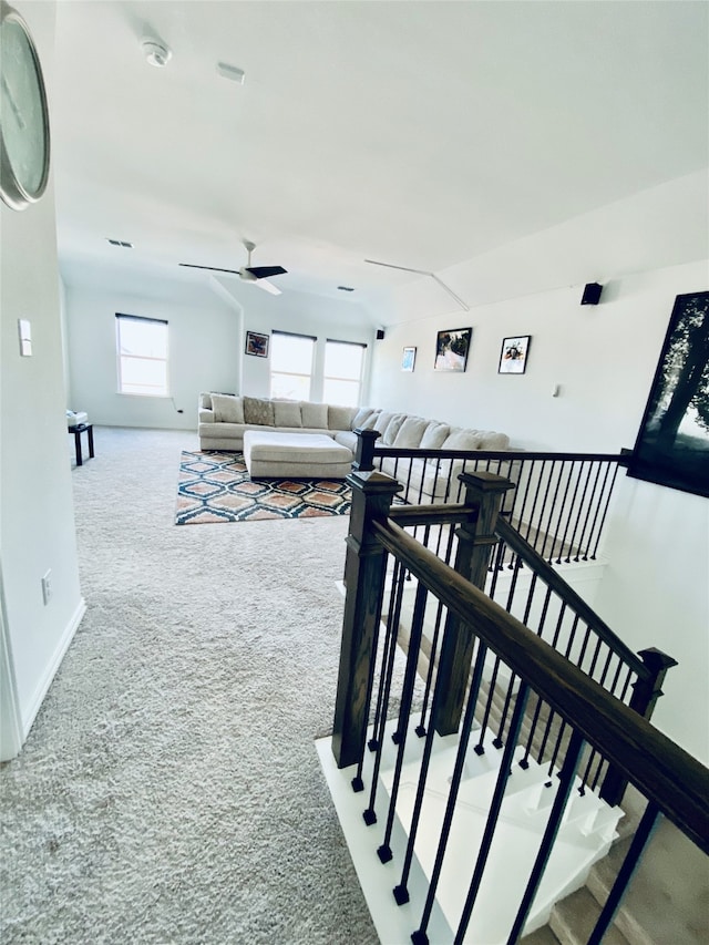 stairs featuring ceiling fan and carpet