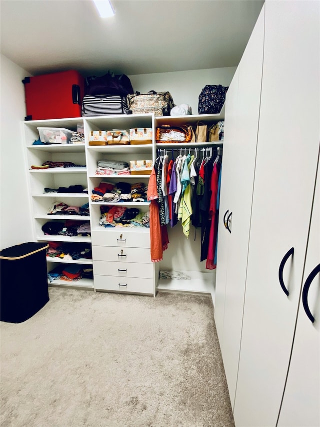 view of closet