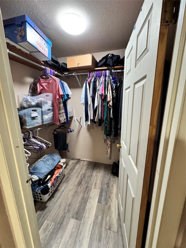 walk in closet with light hardwood / wood-style floors