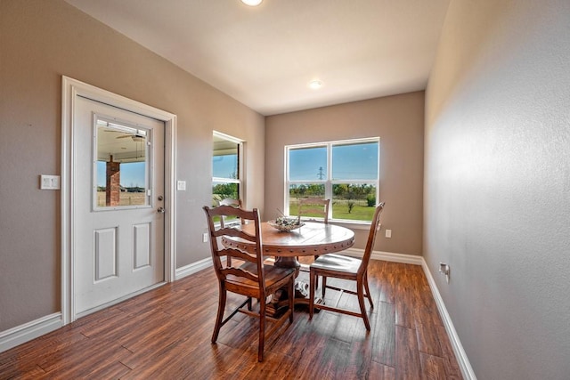 dining area with dark wood-type flooring