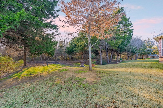 view of yard at dusk