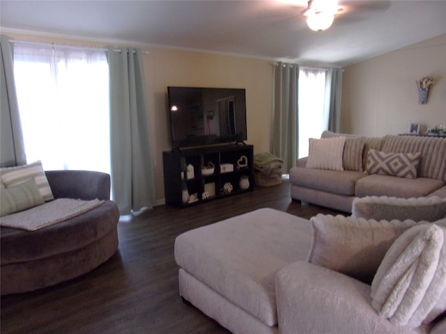 living room featuring a wealth of natural light, dark hardwood / wood-style flooring, and ceiling fan