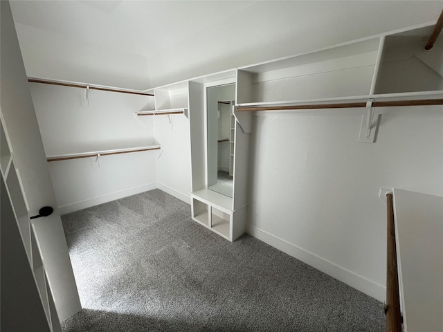 spacious closet with carpet