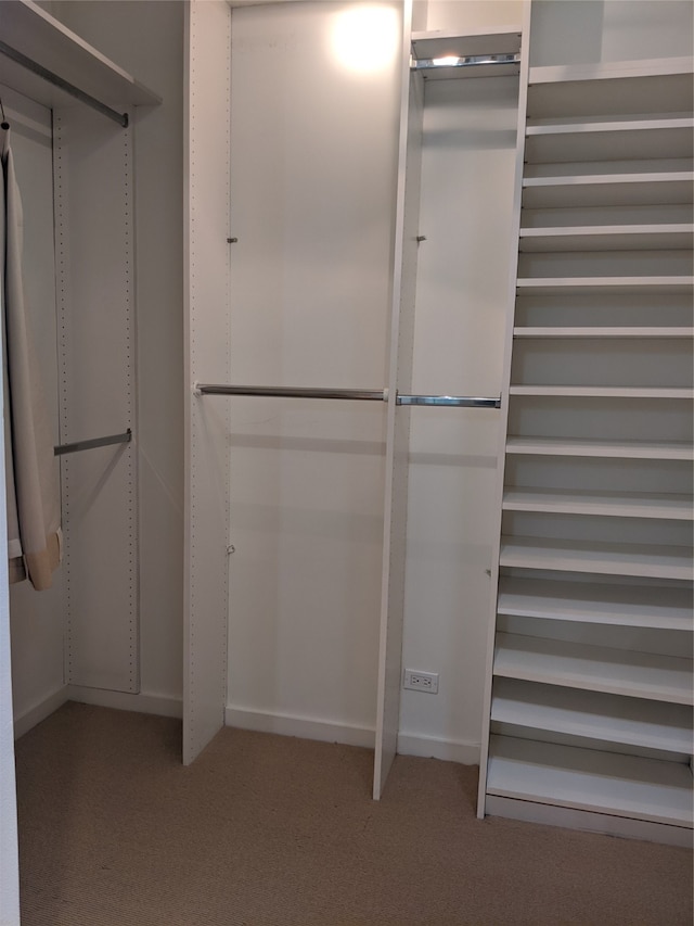 spacious closet featuring carpet floors