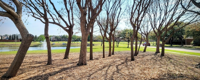 view of yard featuring a water view